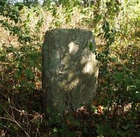 ���������� ������ ��� ������ ���������