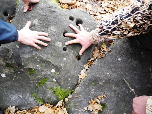 ����������� �� ������ ���� - ������� ������