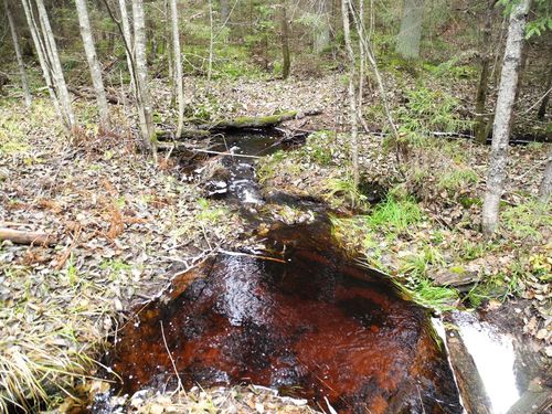 ����������� �� ������ ���� - ����� ����������