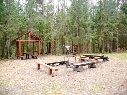 ����������� �� ������ ���� - ������� � �������� ��������