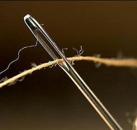 ���� ��� ���������