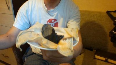 ������� ��� ����� - ���� 3