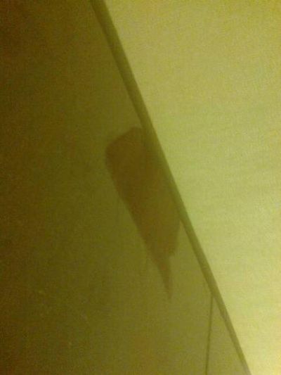 ������� ��� ����� - ���� 4