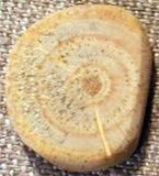 ��������� ��� ��������� �� ������