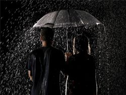 ������ �� ���������