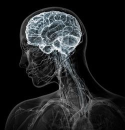 ������������ ������� ��������